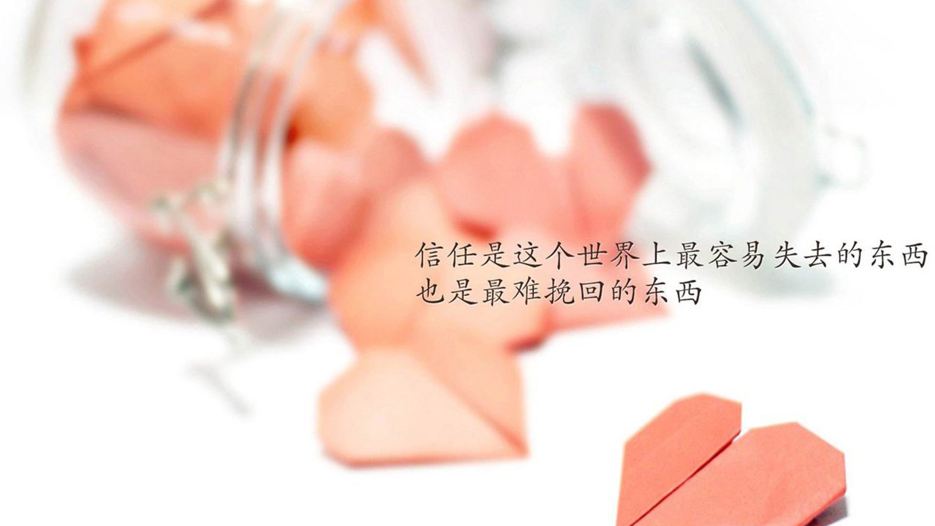 中国瑜伽代表队在国际比赛中获奖，中国瑜伽大使